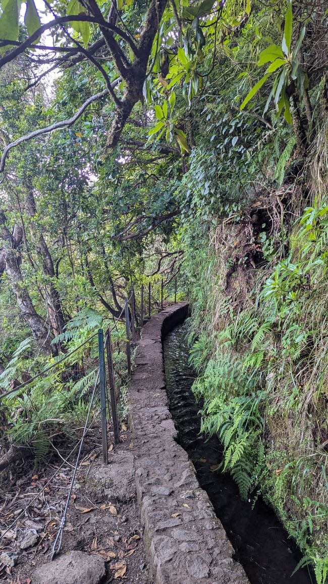 Tag 14: Levada do Caldeirão Verde & Nordküste