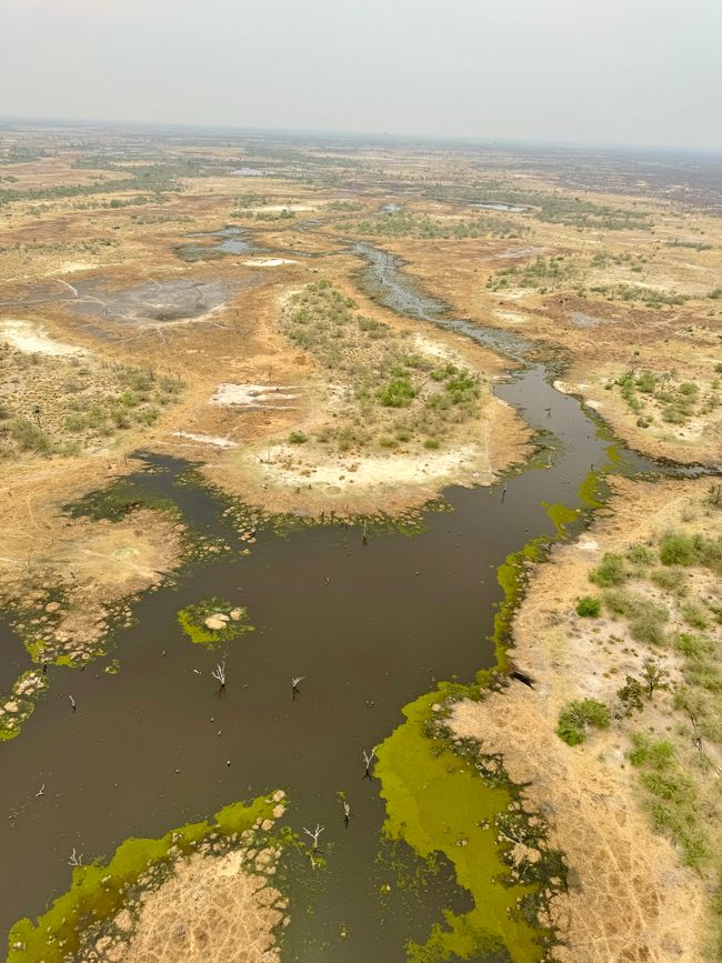 Adiós Namibia