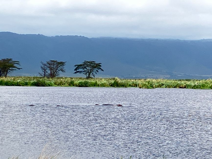 Il Cratere di Ngorongoro