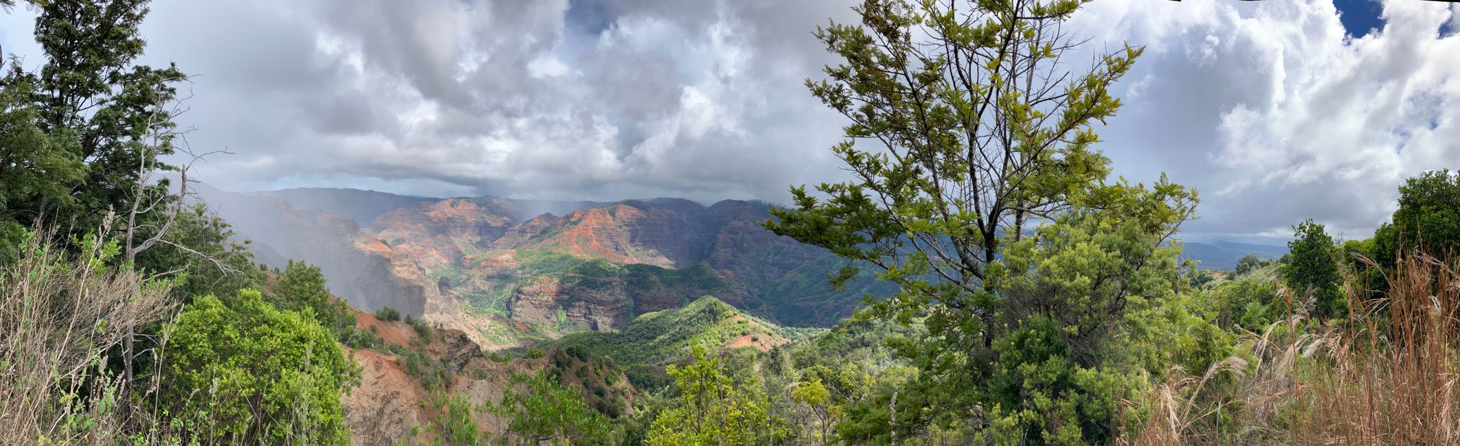 D19 - Yoga, Running and hiking Kukui trail in Waimea canyon with some surprises