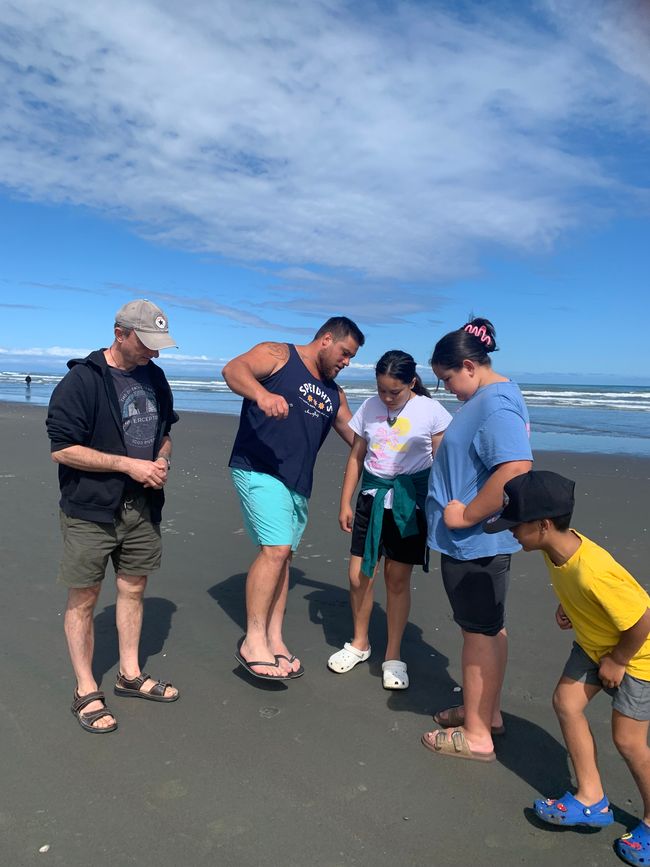 18_LEVIN UND WHANGANUI