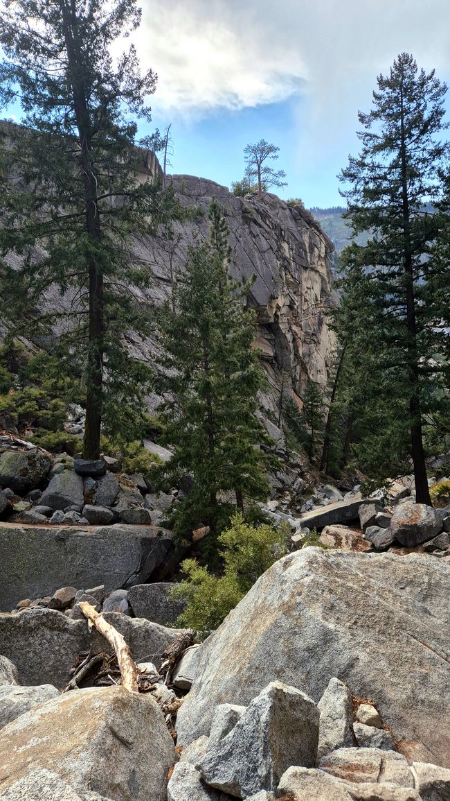 07.10/08.10. Parque Nacional de Yosemite