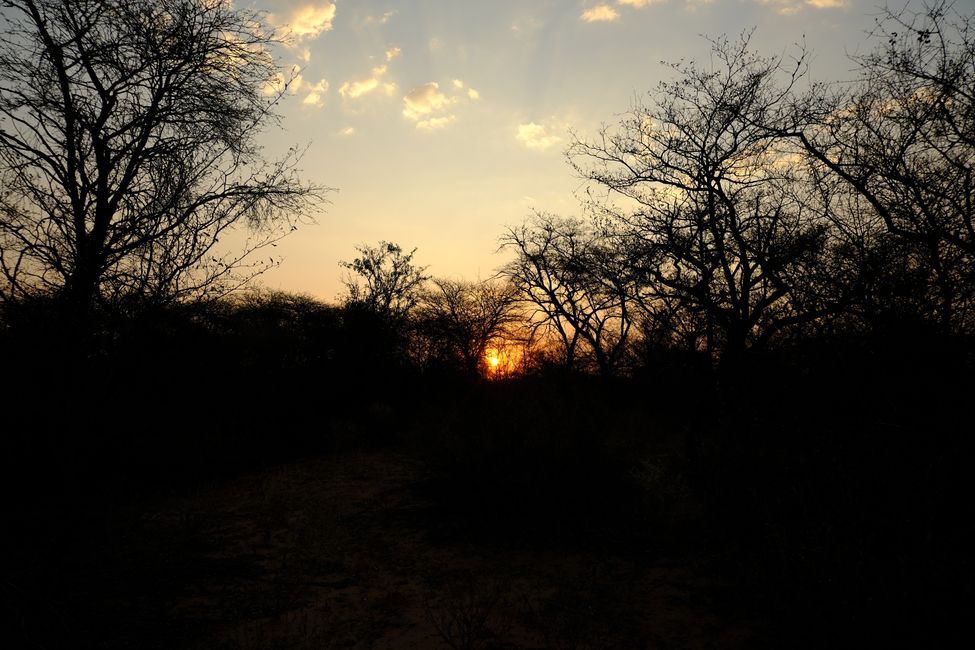 Delta del Okavango 🇧🇼