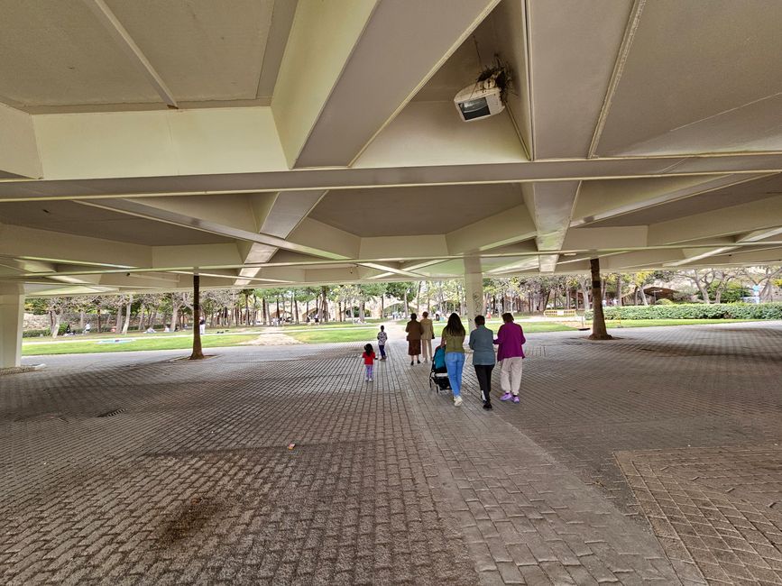 2025 - Aprile - Valencia - Parco del Turia