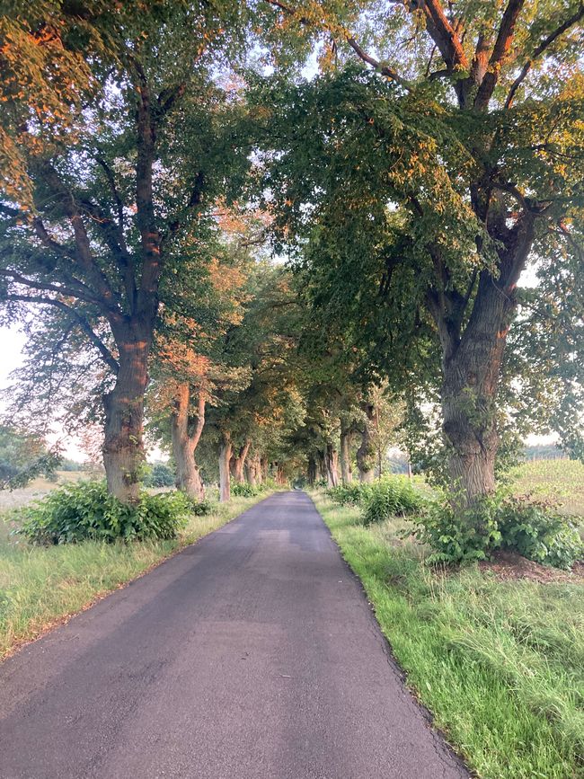 Himmelpfort-Fürstensee-Neustrelitz y un encuentro con dos hombres