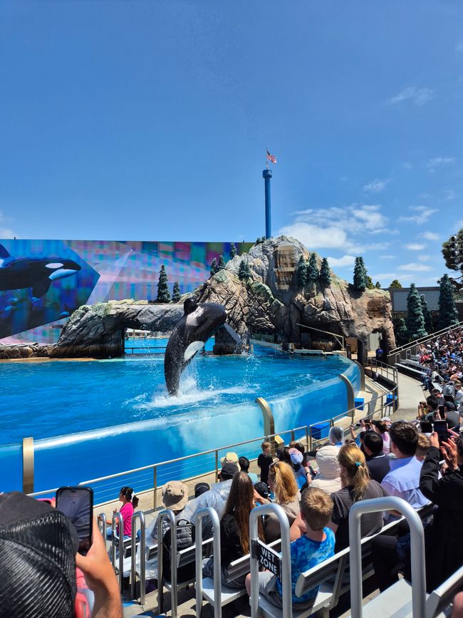 Sea World