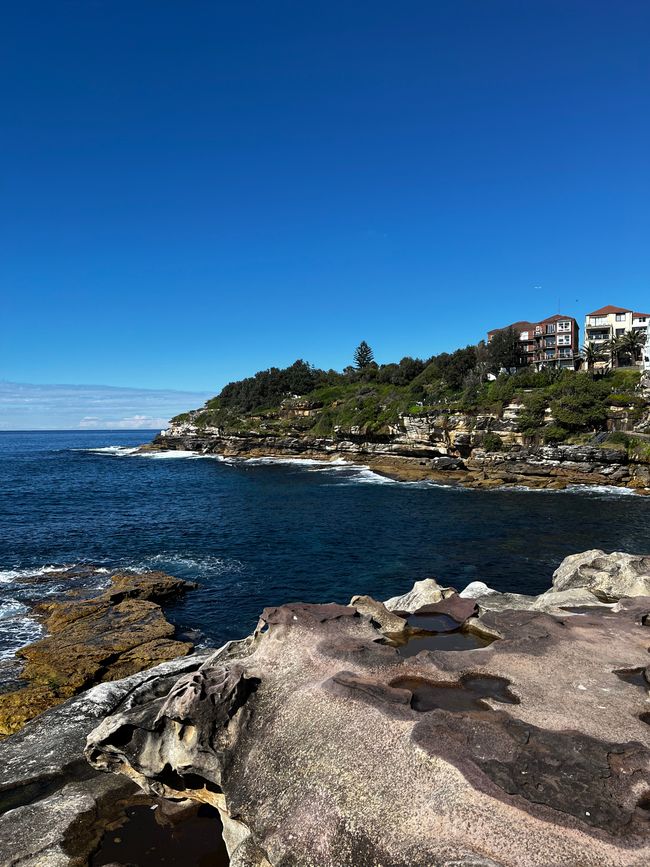Coastal Walk Bondi to Coogee