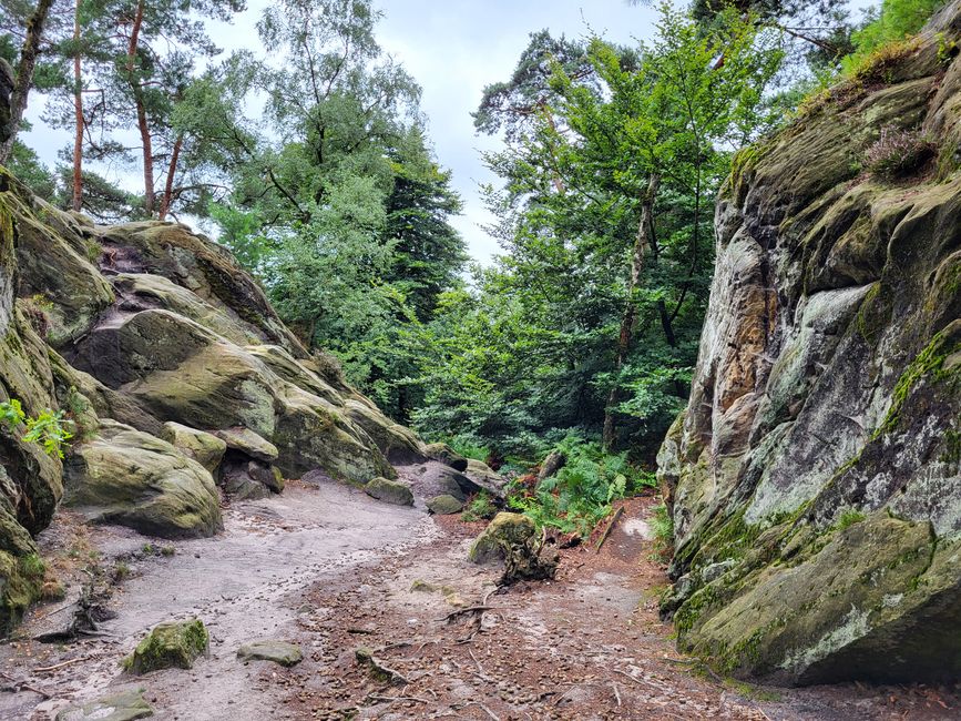 Wanderung zu den Dörenther Klippen