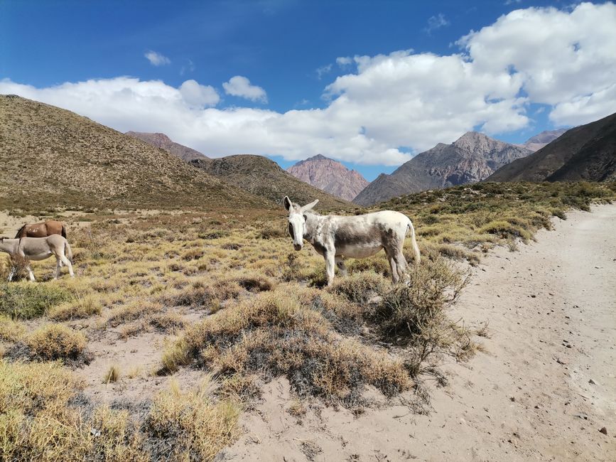 Argentina, hiking with friends