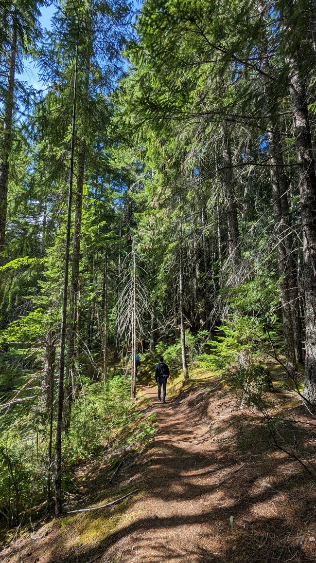 Three Ponds Loop Trail