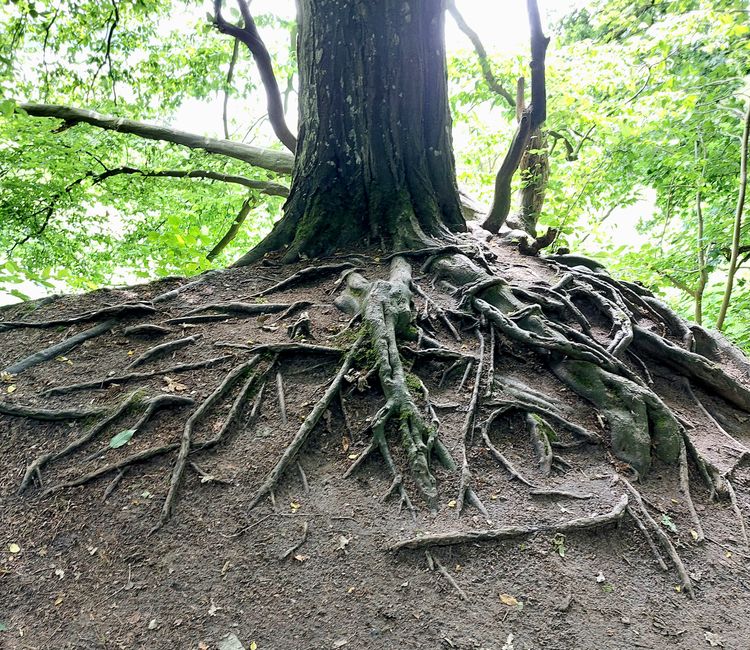 Südschweden-Tour  - Tag 28