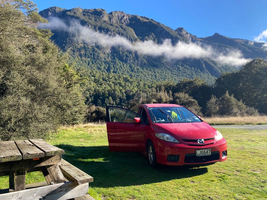 Among the glowing glowworms