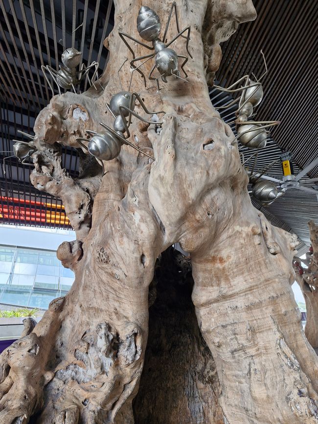 Cloud Forest - Ameisenkunst
