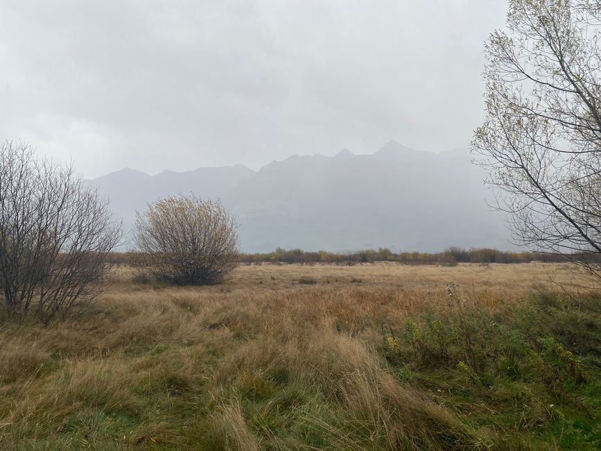Durch den Regen