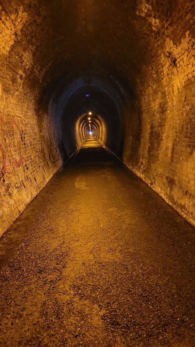 On the Trail of the Gold and Ore Mine in the Karangahake Gorge