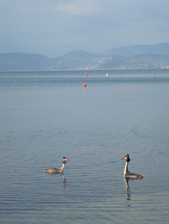 Lago di Garda