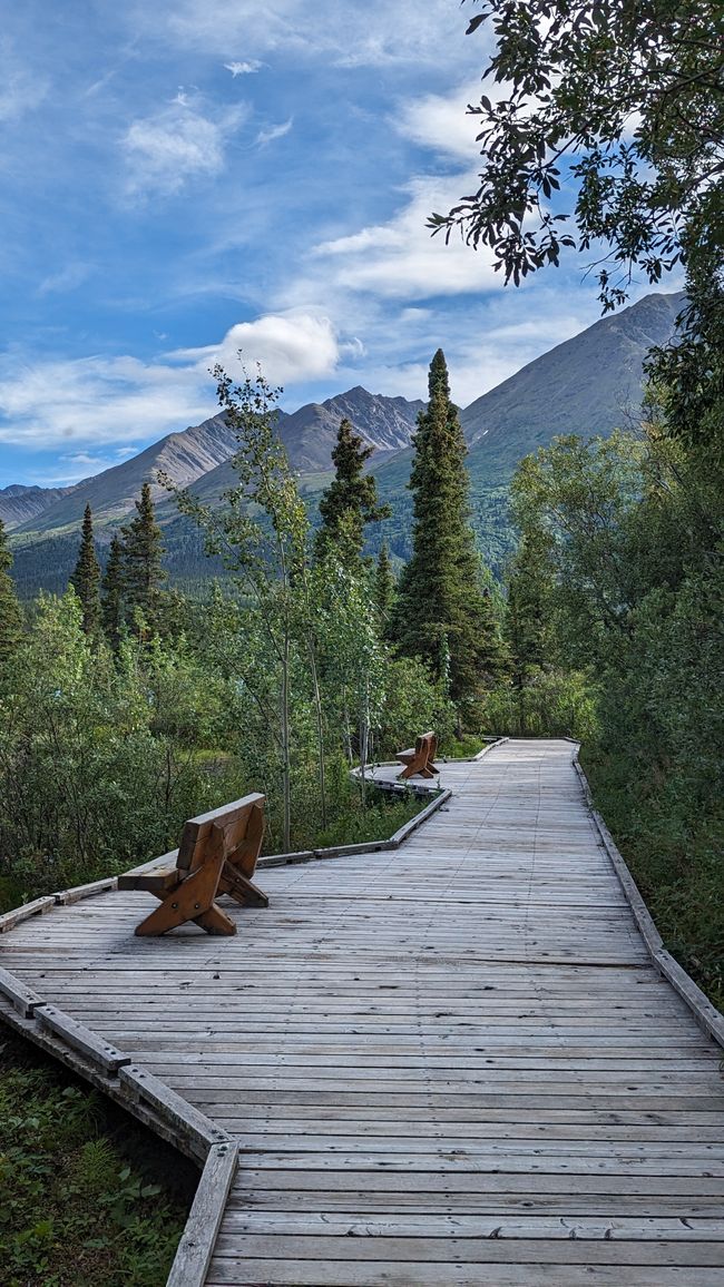 Tag 27: Bärenshow & fantastische Bergwelten - zurück nach Yukon/Kanada