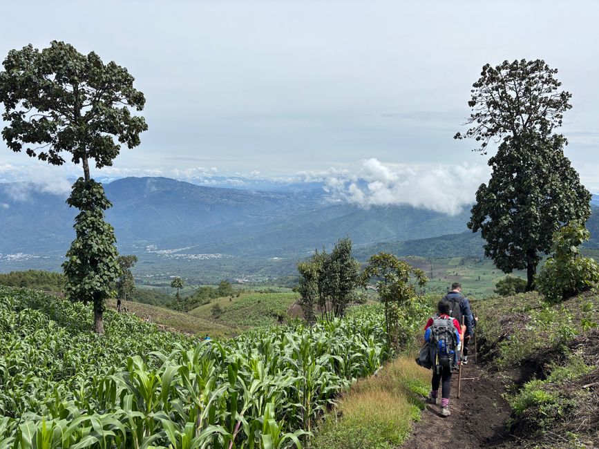 Descente