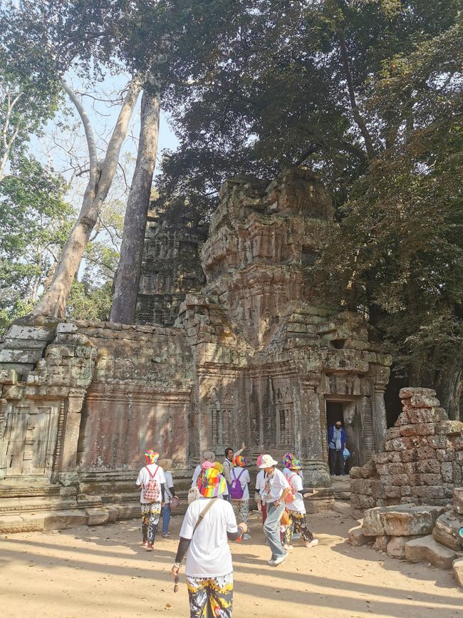 Auf Tempeltour in Siem Reap (Reload)