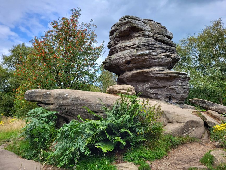 Brimham Rocks