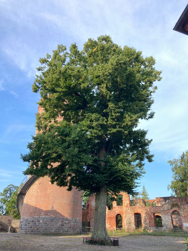 Burg Stargard - Alte Burg