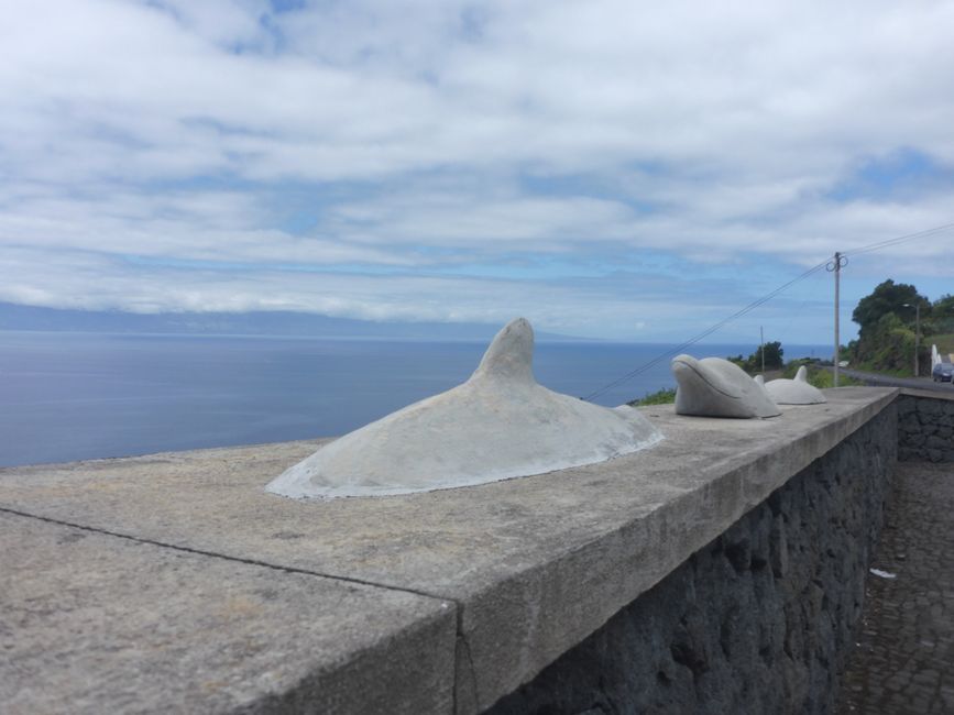 2025-08-03 São Jorge, Azoren