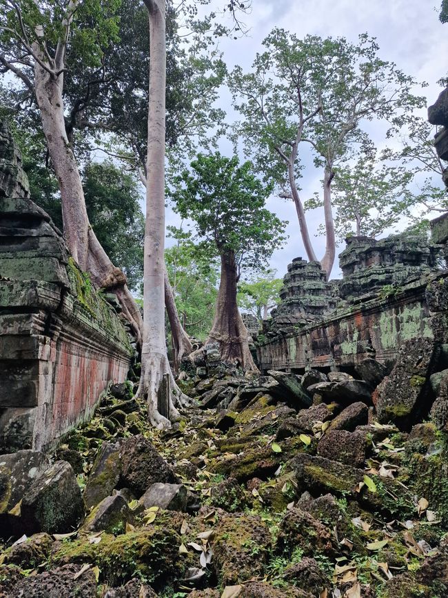 Baphuon und Ta Phrom - Himmelsleiter und himmlischer Ort