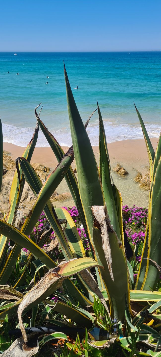 1. Etappe Sines - Porto Covo