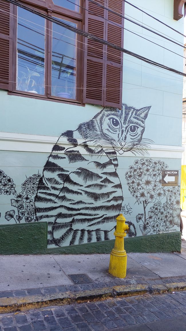 Chile - Santiago und Patagonien
