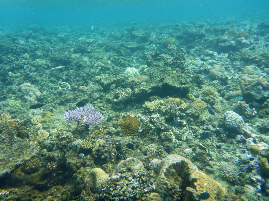 Lomaloma, Insel Vanua Balavu, Fidschi