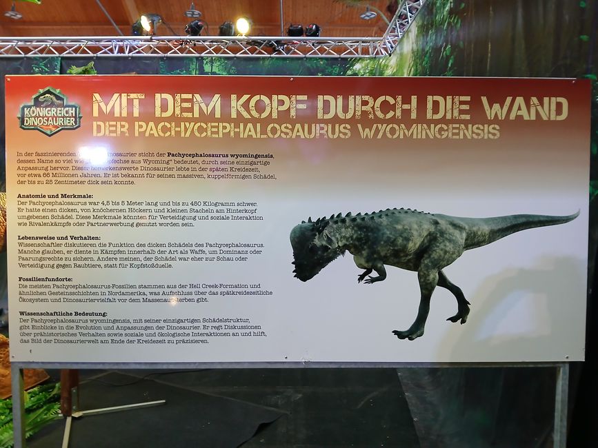 Dino Fever in Friedrichshafen: An Honest Look into the "Kingdom of Dinosaurs"