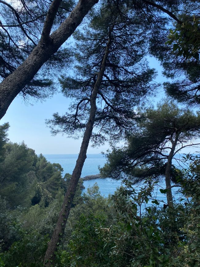 Havet känns långt ifrån under vandringen. 