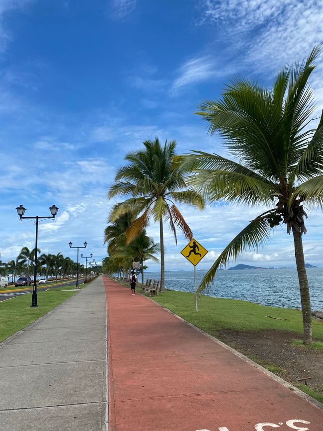 Panama 🇵🇦 🌴