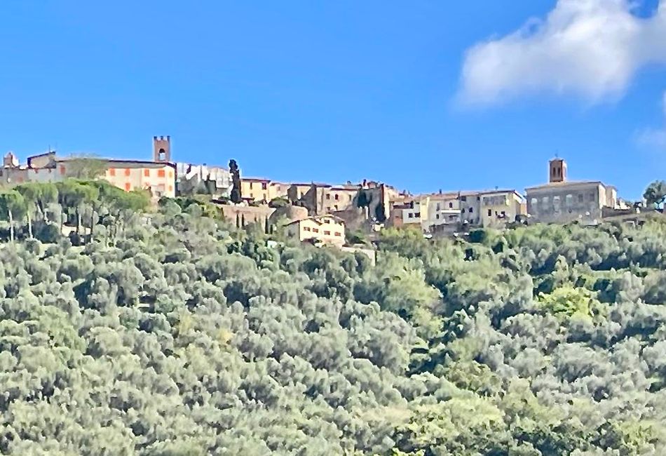 Ein Foto von der Anreise: Ein Dorf thront auf einem Hügel.