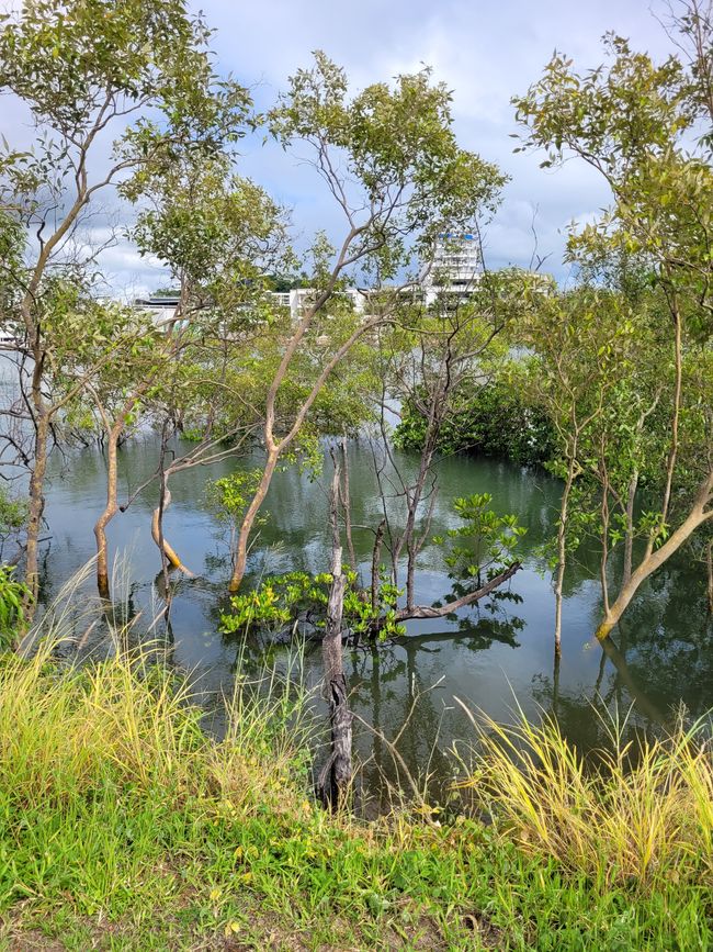 Day 102 of 175: Cruise around the world - Townsville/Australia