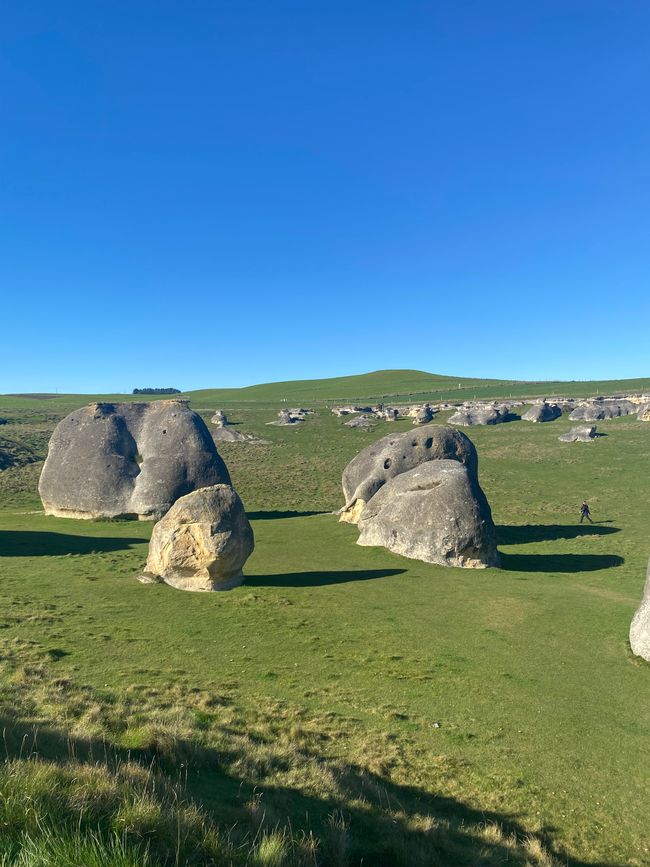 From Waimate to Twizel