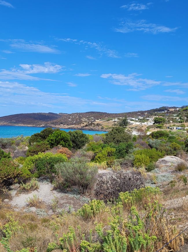 Tag 92: Penneshaw/Kangaroo Island/Australia