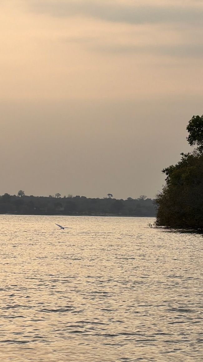 Atardecer en el Zambesí