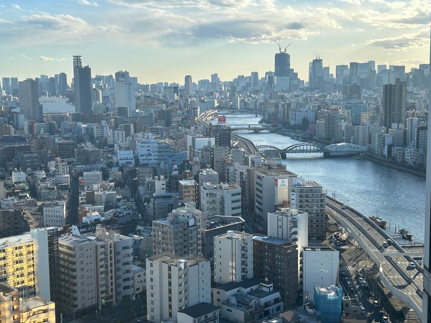 Cesta do Japón
