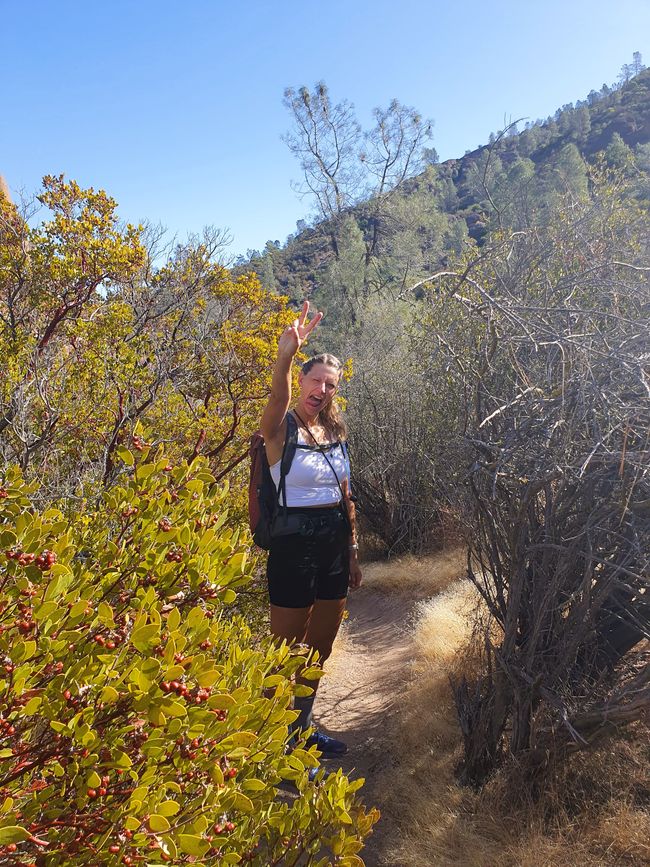 Parque Nacional Pinnacles