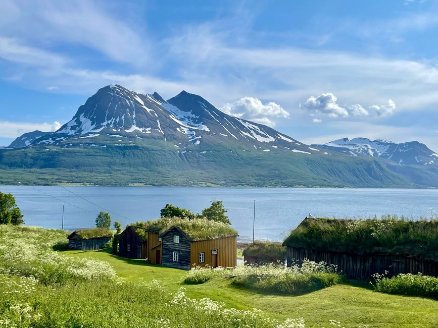Étiquette 12 - Étape de Husøy et retour à Tromsø