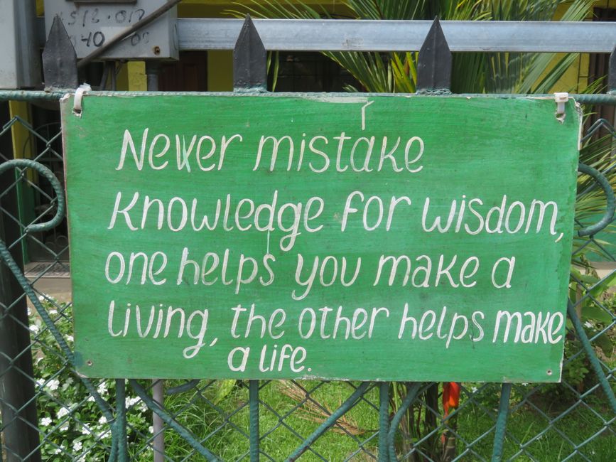 Wisdom 3