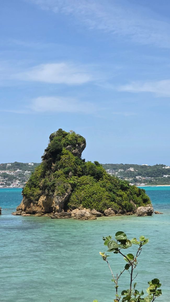 Okinawa Nuchi du takara (Life is the very thing we treasure)