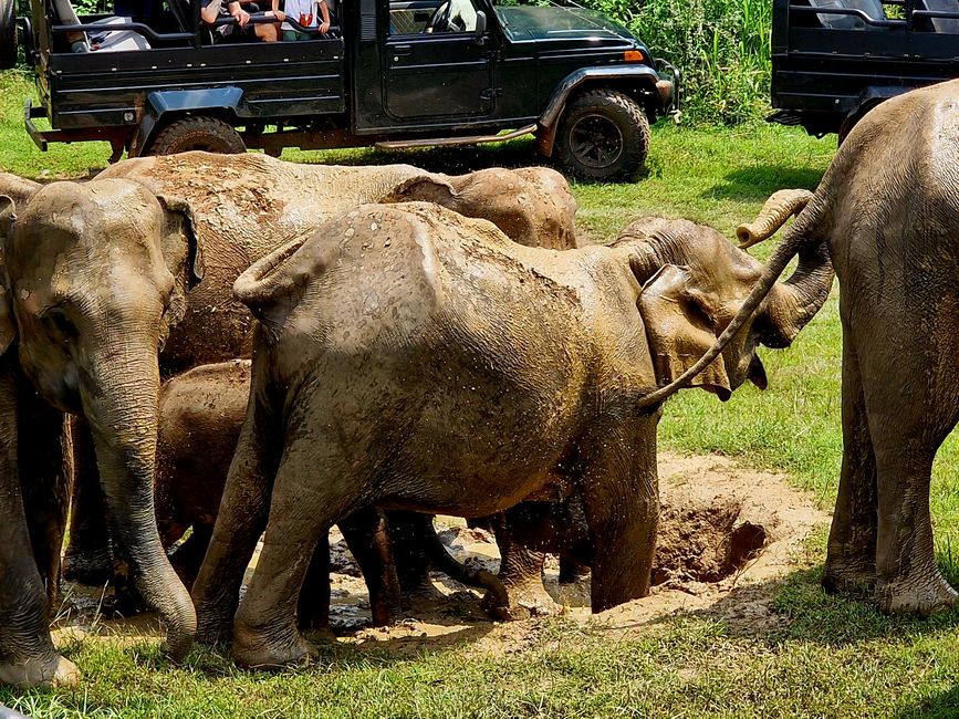 Hurulu Eco Park