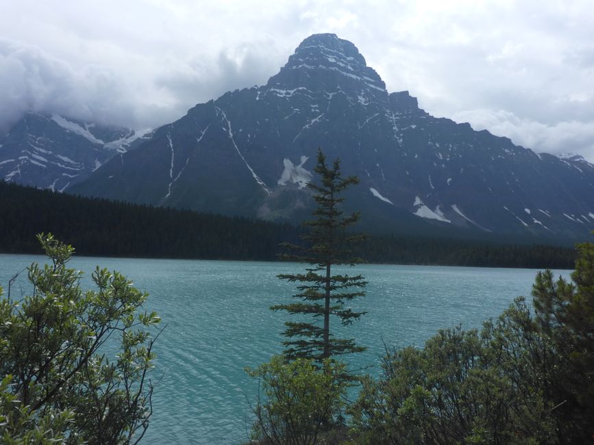 2025-06-19 sur l'Icefields Parkway de Jasper à Lake Louise, CA