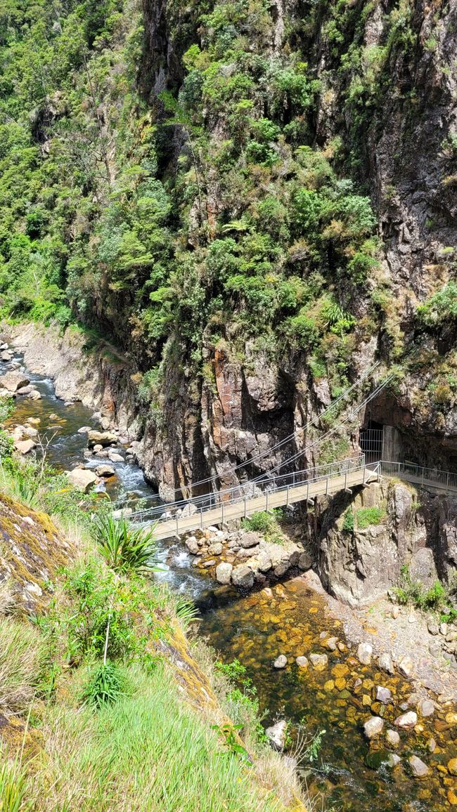 On the Trail of the Gold and Ore Mine in the Karangahake Gorge