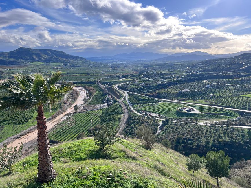 Blick auf Sierra de las Nieves