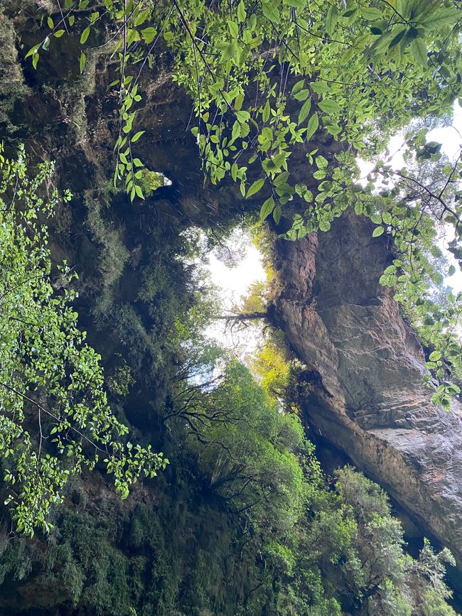 Verso Karamea
