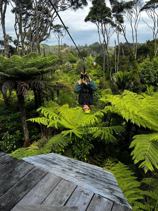 Hahei - The 309 Road - Coromandel