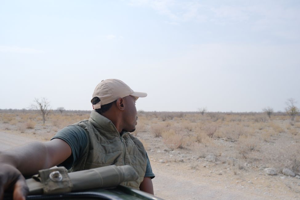 Etosha National Park 🐘🦒